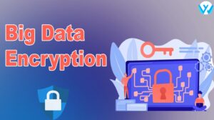 Big Data Encryption
